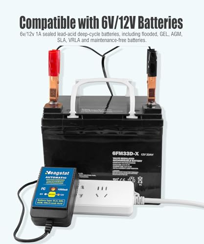 Heagstat 1A Trickle Battery Charger, 6V/12V Fully-Automatic Smart Battery Maintainer for Car, Motorcycle, ATV, Lawn Mower, Boat More