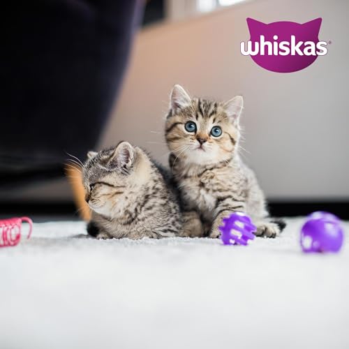 Whiskas Junior Katzennassfutter Klassische Auswahl in Sauce, 48 Portionsbeutel, 12x85g (4er Pack) – Hochwertiges Katzenfutter nass, für heranwachsende Katzen von 2 bis 12 Monaten