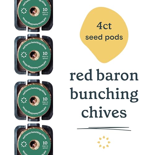 Rise Gardens Red Baron Bunching Chives Seed Pod Kit, Herb Seeds for Planting in Hydroponic Gardens and Indoor Growing Systems, 4-Pack - Thumbnail 2