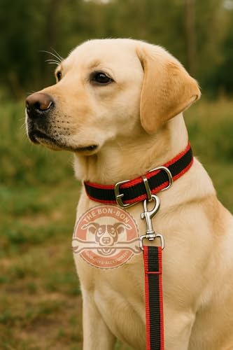 Image of THE BON BON Premium 5ft Dog Leash and Collar Set for Large Dogs | Heavy Duty Nylon with Reflective Stitching, Padded Handle, Adjustable Collar | Ideal for Walking and Training (Black, Medium)