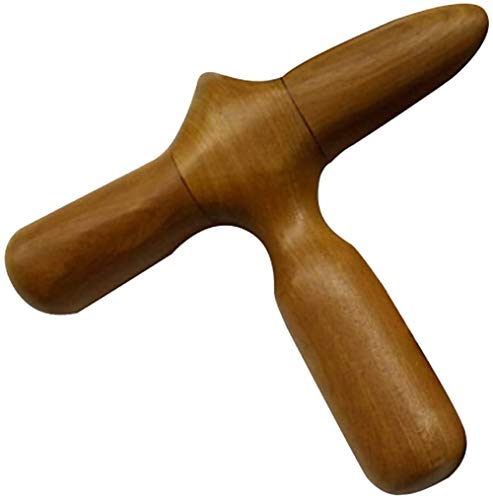 LUAMY c{_ ؐ c{ w tzi    c{h Ebh}bT[W_ jp (\_^) ANZT[