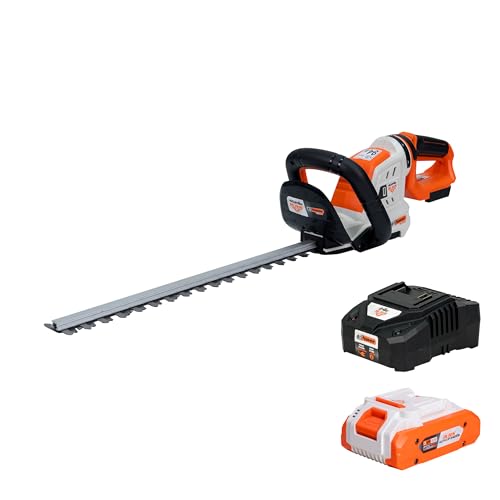 Pulsa para comprar en Amazon