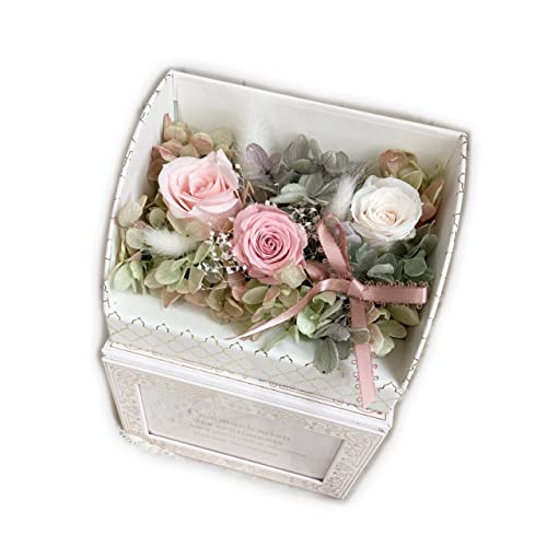 Lulu's Y AWƃZbgłtHgX^h vU[uht[ hCt[ tHgt[ ʐ^ v[g Mtg CeA TCYFW125×H170×D85mm AWƃZbgłtHgX^h Lulu's-2220