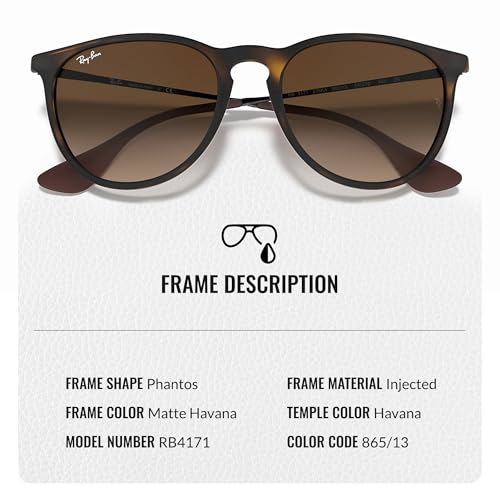 Ray-Ban RB4171 ERIKA CLASSIC Phantos Shaped Sunglasses for Men & Women with Official RAYBAN Eyewear Kit3
