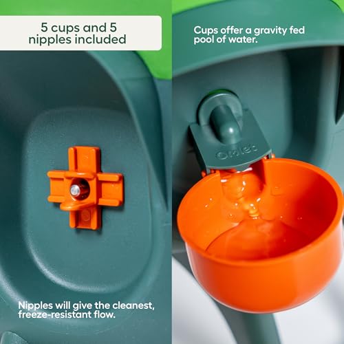 Image of Omlet Insulated Chicken Waterer, 3 Gallon | Automatic Poultry Water Dispenser with 5 Cups & Nipples Included | BPA-Free | Anti-Roost Lid | Sage Green