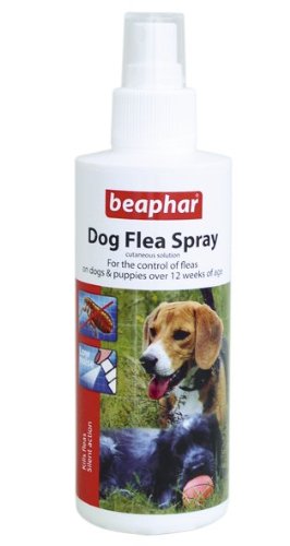 Beaphar Dog Flea Spray with Pump Action, 150 ml, Pack of 2