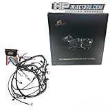 HPI 97-06 LS1 STANDALONE Wire Harness 4.8 5.3 6.0 VORTEC w/60A Relay (Drive by Cable) (RED/Blue PCM) & EV1 Fuel Injector CONNECTORS for Harness Swap (T56 (Manual Trans) Drive by Cable)
