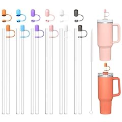 12 Clear Straw with Cover