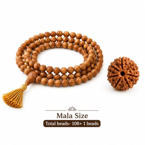 Image of Natural Seven Face Rudraksha Bead for Puja, Japa, Meditation & Spiritual Practices | Authentic Rudraksh for Men & Women (7 Mukhi Rudraksha)