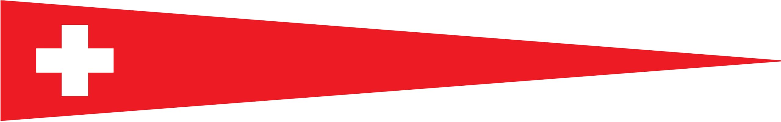 Fanion de la Suisse résistant pour éviter la décoloration drapeau 120x60 cm