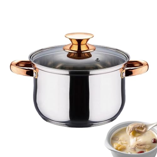 Olla para cocinar, olla antiadherente con tapa, cacerola multiusos, olla de sopa de acero inoxidable, olla gruesa y segura, sartén para salsa para caldo de sopa, olla de cuarto con tapa, inducción