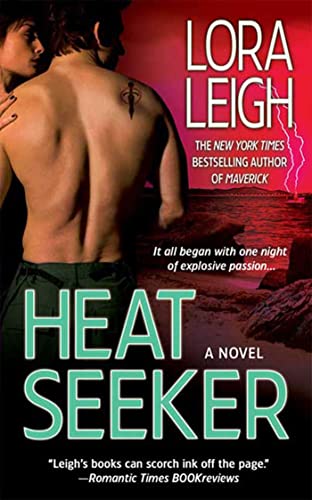 Heat Seeker view 2