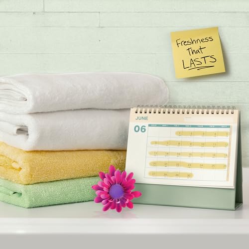 Save 31% on Gain Odor Defense Laundry Detergent Pack of 2