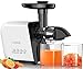 Doctor Hetzner Juicer, Slow Masticating Juicer Extractor with Reverse Function, Cold Press Juicer Machine with Quiet Motor, Juice Jug and Brush for High Nutrient Fruit and Vegetable Juice