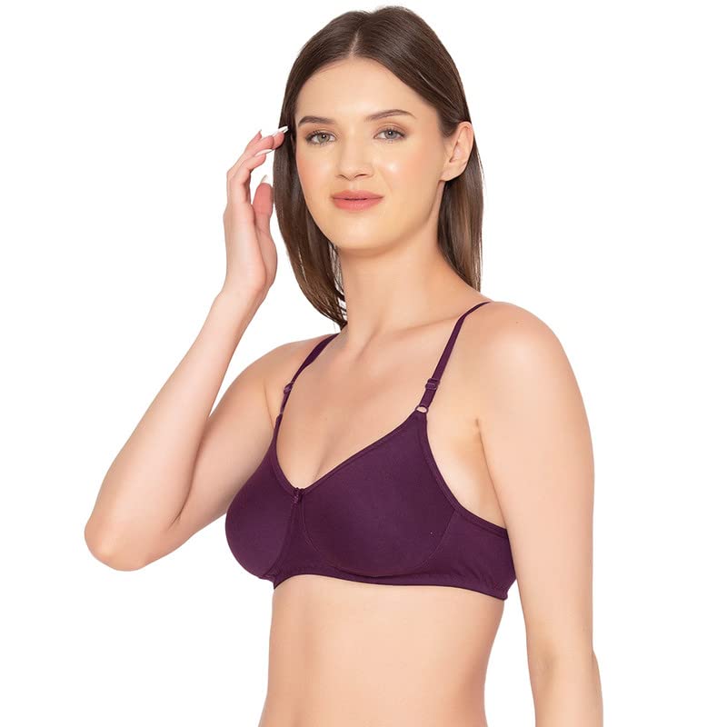 Image of Groversons Paris Beauty Women's Pack of 2 Seamless Non-Padded, Non-Wired Bra (COMB09)