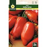 Mascarell Semillas, TOMATE, Semillas Huerto, TOMATE ANDINE CORNUE, Crea tu Propio Huerto Urbano y Cultivo en Casa, Plantas Hortícolas, 0,1 Gramos