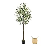Guheake Artificial Olive Tree 5FT, Tall Faux Potted Olive Silk Tree with Large Faux Olive Branches a