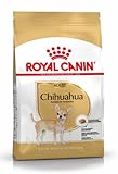 BHN Chihuahua Ad 500gr ROYAL CANIN BHN Chihuahua Ad 500gr