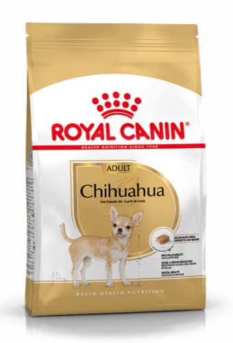 Royal Canin Chihuahua