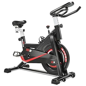 RELIFE REBUILD YOUR LIFE Exercise Bike with Adjusable Resistance & Comfortable Seat Indoor Stationary Cycling Bike with LCD Monitor Fitness Bicycle with Heavy Duty Flywheel for Home Gym Cardio Workout Machine New Version, Weight Capacity 400LBS