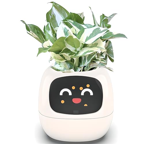 Pot de plante interactive intelligente LCD 16" avec alertes d'état par application