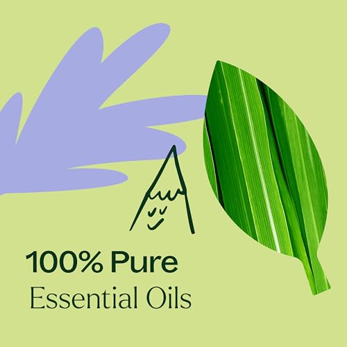 Aceite esencial Plant Therapy Balance 5 mL miniatura 5