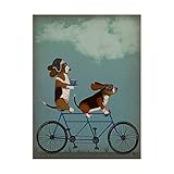 Trademark Fine Art, 14x19-Inch Basset Hound Tandem by Fab Funky