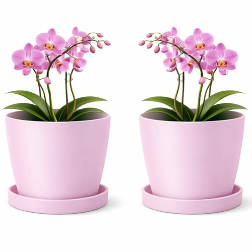 PECZEKO Macetero mate, maceta de plástico, maceta decorativa para plantas grandes y pequeñas, juego de 2 macetas con plato, macetero para flores, macetero para hierbas, rosa, diámetro de 14 cm