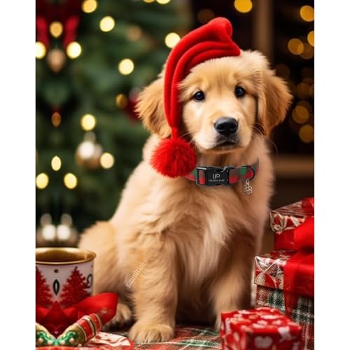 Image of Christmas Dog Collar, Red and Green Plaid Adjustable Pet Collar with Snowflake Charm, Holiday Dog Accessories for Small Medium Large Dogs