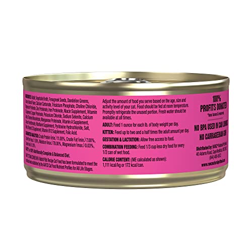 Rawz Natural Premium Pate Canned Cat Wet Food - Made with Real Meat Ingredients No BPA or Gums - 5.5oz Cans 24 Count (Rabbit)