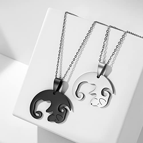 Collares para parejas de gatos en acero inoxidable y amazonita 4