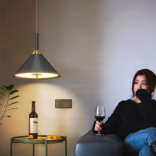 HYJAUSXB Lámpara Colgante LED Minimalista Sensor de Movimiento, araña de Interior de 10 W, luminaria Colgante de 25 x 10 cm, Adecuada para garajes, pasillos, porches y entradas