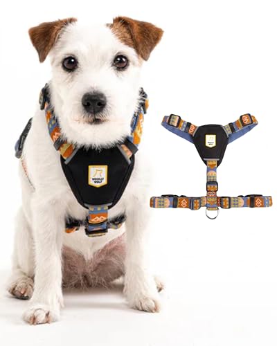 Woolly Wolf Nightless Night Dog Harness S - Hundegeschirr für kleine Hunde aus recyceltem Polyester, Perfekte Passform und Reflektoren für erhöhte Sichtbarkeit