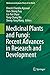 Produktbild Medicinal Plants and Fungi: Recent Advances in Research and Development (Medicinal and Aromatic Plants of the World, 4, Band 3)