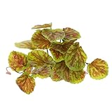 JUMPLAWN 爬虫類テラリウム装飾用リアルフェイク植物 無害樹脂製 明るい色彩 爬虫類隠れ家と自然空間演出 インテリアとしても