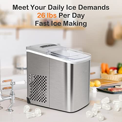 https://m.media-amazon.com/images/I/41O8Ub-ppsL._SL500_.jpg