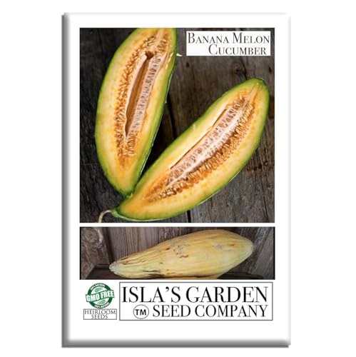 Banana Melon Cucumber Seeds (Horned Melon, Cucumis metuliferus) – 120+ Non GMO Heirloom Seeds by Isla’s Garden Seeds, Exotic Edible Tropical-Type Fruit for Unique Gardens, Perfect Gardening Gift Idea