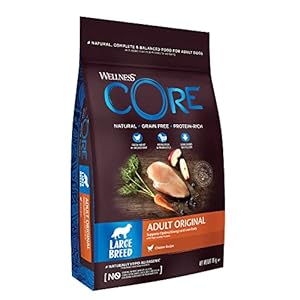 Wellness CORE Large Breed Original, Croquettes pour Chien de Grandes Tailles, Naturelles et sans Céréales, Poulet, 10 kg