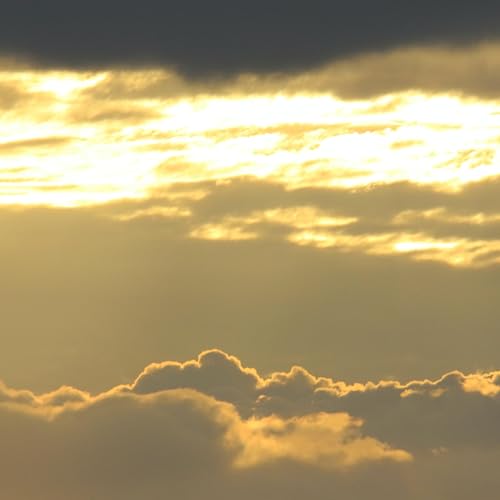 Holding Space For Emotions (18 min version)