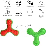 Dingo Hundespielzeug aus Hart Gummi TPR Boomerang TRI 16,5 cm 17394