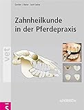 Zahnheilkunde in der Pferdepraxis