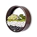 Produktbild Wand-Pflanzgefäße,Hänge-Blumenvase,Töpfe,Sukkulenten-Übertopf,Hängetöpfen,Bonsai Pflanzkübel, Durchsichtig Terrarien,Wand decor,Modern,Rund,Metall,Eisen,Vertikal,Wandmontage,Wohnkultur,für Indoor