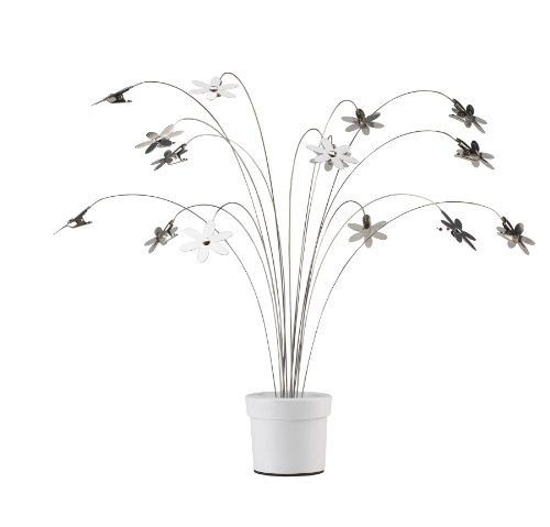 Umbra Petal Desktop Photo Holder