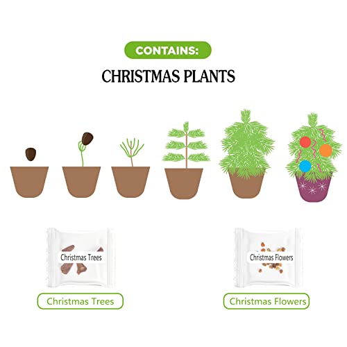 Winter Growing Kit For Christmas. Grow Christmas Trees And Flowers. Includes Everything Needed To Grow Your Own Holiday Lovely Garden. Make A Great Gift. #TOP4