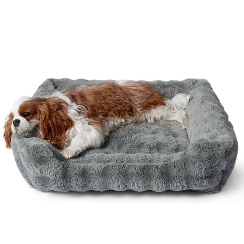 LE SURE Fluffy Dog Beds for Medium Dogs - Rectangle Orthopedic Calming Pet Sofa,Plush Bubble Bolster...