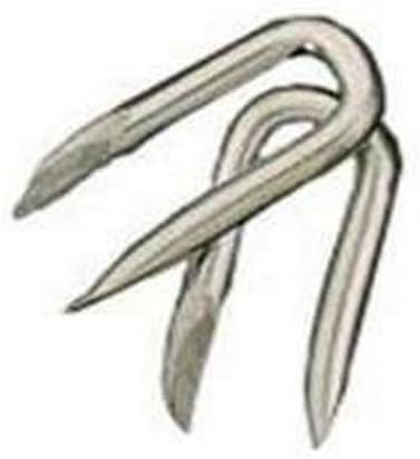 Staple Smth Galv 1-1/2 In 50lb