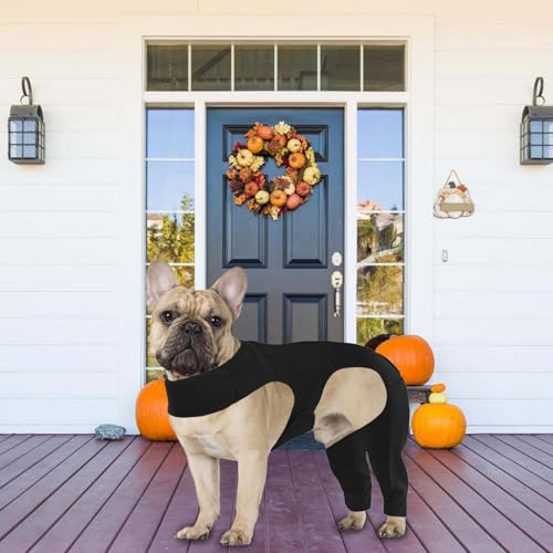 Leggings para perros para cuidar a tu mascota mayor de lesiones y calor 7