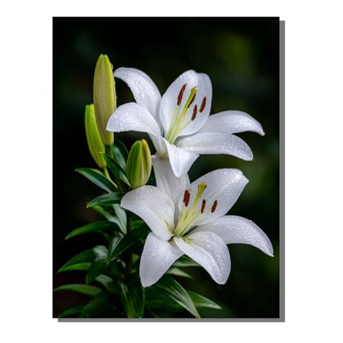 5D Diamond Painting, Flor Planta Pintura de Diamante, Cuadrado Taladro Completo DIY Diamante Painting, Gemas Artesanía kit de Arte de Mosaico, Ideal para Principiantes Niños, Regalos 80x100 cm SYLF581