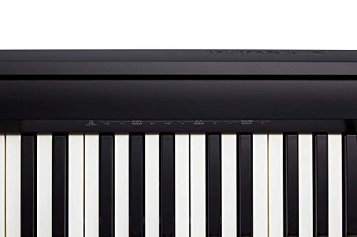 Image of Roland FP-10 Digital Piano