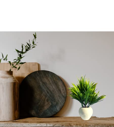 Image of Artificial Green Plants for Decoration with Pot Combo of 2PCs Artificial Green Forest Bonsai Plant with Plastic Pot for Home Decoration Office Table Greenery Room Home Decor Plants Plastic - Fake Grass Plants (GrassPot)